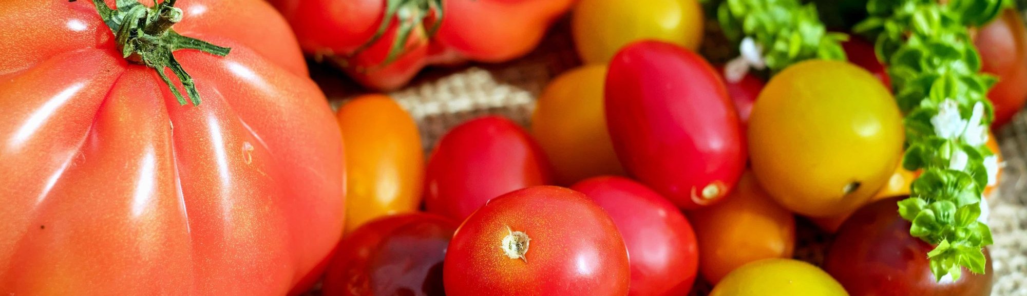 Almacen de Frutas y Verduras